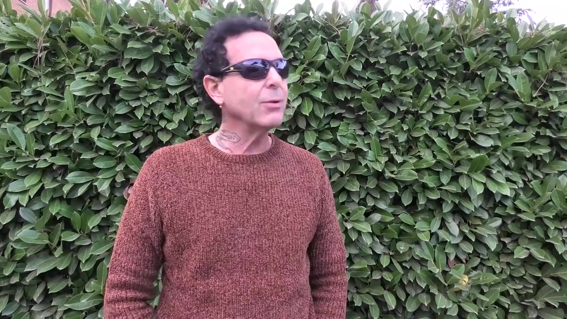 Trifoglio Trifoglio, lo sai che cosa voglio