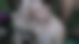 Summer night of cocksucking part 2